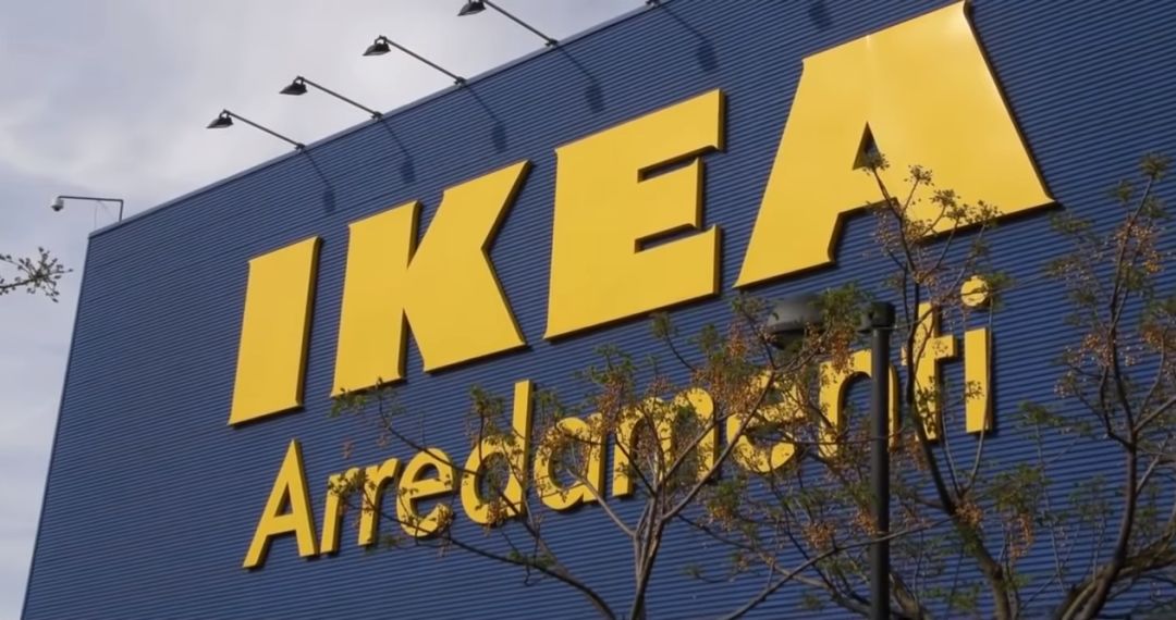 宜家邀请流浪汪“试睡”？这个冬天真的太温暖了吧