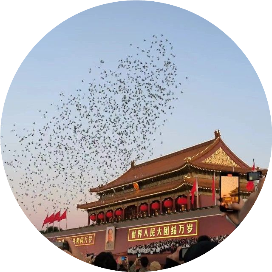 旅行学姐