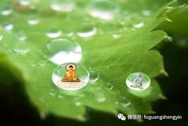 [转载]《大随求陀罗尼咒》殊胜无比