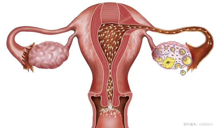 怀孕后没用完的卫生巾你给谁了?这可是“好孕棉”!千万别乱给!-怀孕期