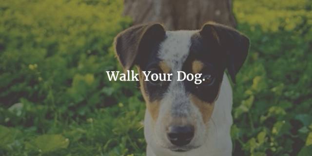 和狗狗一起散散步。