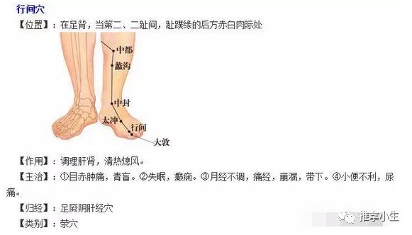 足厥阴肝经穴位图