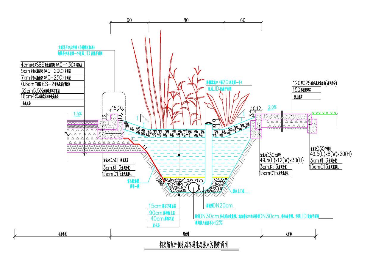 靠外侧机动车道生态排水沟标准横断面图