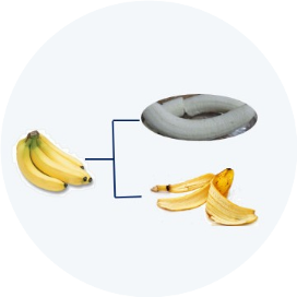 发酵产物分离纯化技术