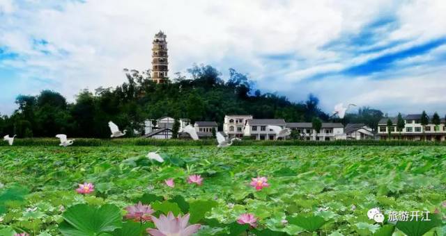 上海真如寺 舍利_河内舍利寺_金山寺舍利塔