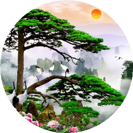 正品太阳眼镜光学眼镜批发零售