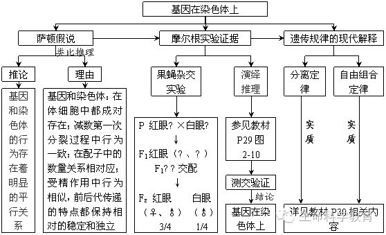 高中生物必修2第一二章知识结构图