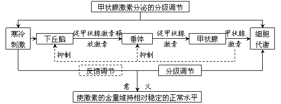 高中生物必修3第二章概念图