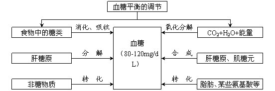 高中生物必修3第二章概念图