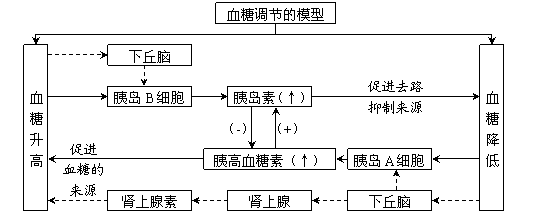 高中生物必修3第二章概念图