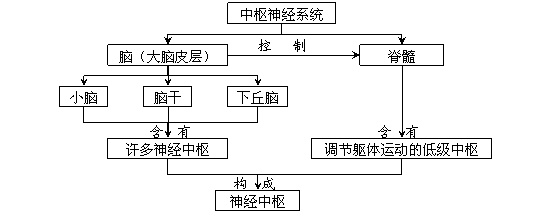 高中生物必修3第二章概念图