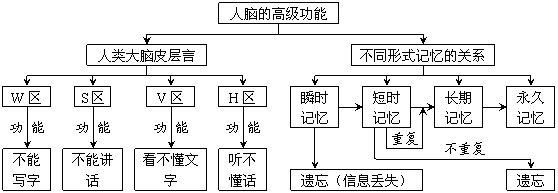 高中生物必修3第二章概念图