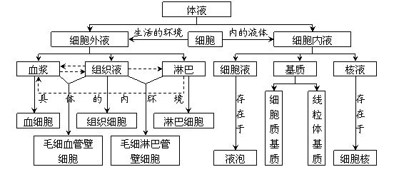 高中生物必修3第二章概念图