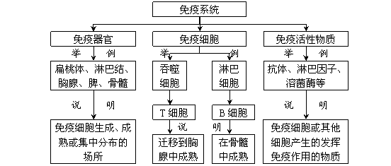 高中生物必修3第二章概念图