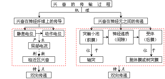 高中生物必修3第二章概念图