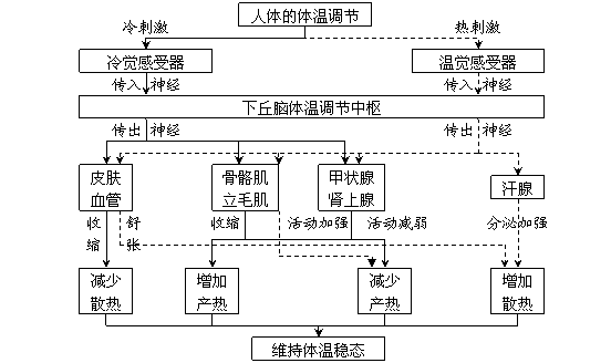 高中生物必修3第二章概念图