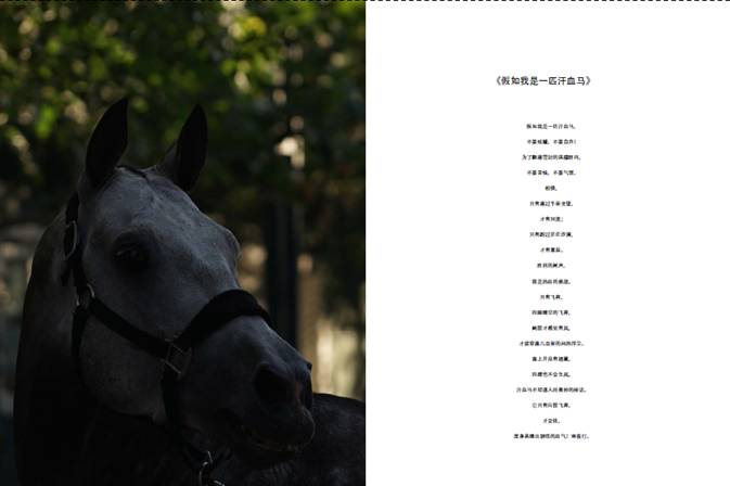 畫冊排版教程_印刷畫冊排版_畫冊的排版