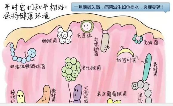 细菌性阴道病,也是一种阴道炎