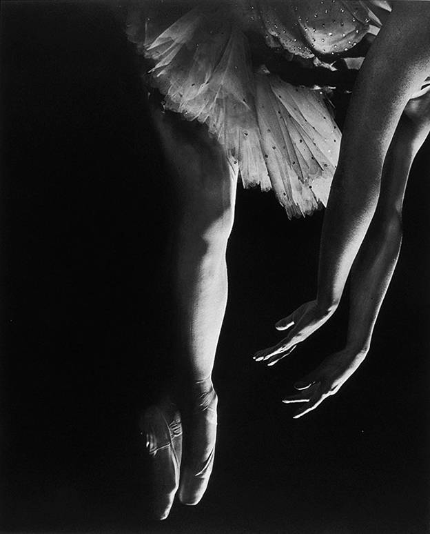 拍摄灵魂的大师 | 尤素福·卡什