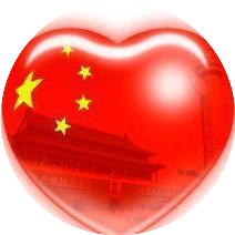 狐狸视点
