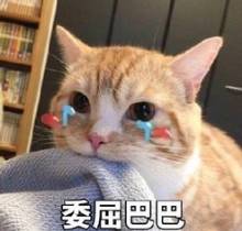 这个玩意危险指数还特别高
