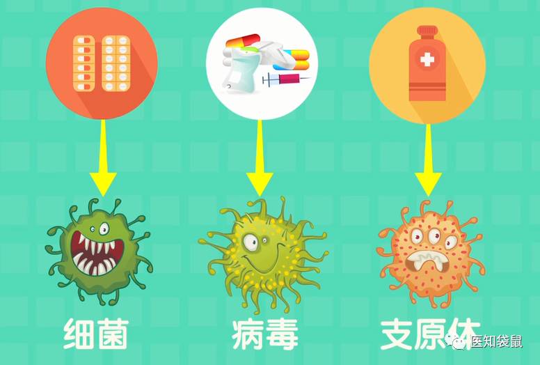 白细胞增高就是细菌感染?儿科医生解读:宝宝血常规化验单