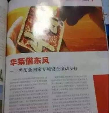 央视：黑茶上升为国家及发展项目，获专项资金滚动支持