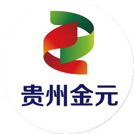 贵州金元