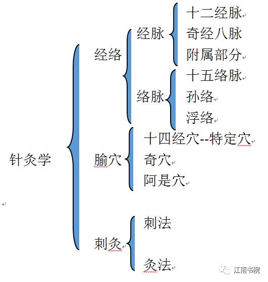 中医启蒙班 针灸学