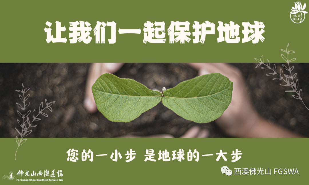 “你走路，我种树”珀斯公益活动即将开启！让我们一起保护地球吧（组图） - 9