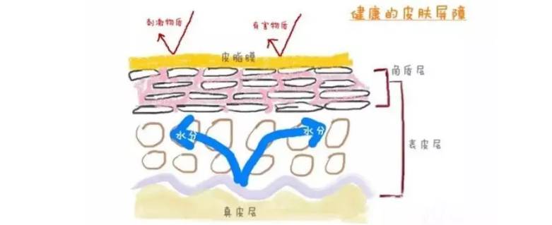 男人皮肤如何保养_男人如何护肤保养皮肤_经期护肤保养