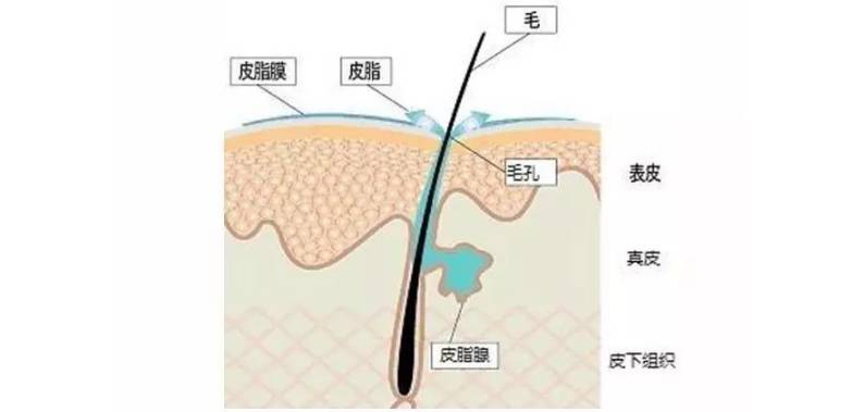 经期护肤保养_男人皮肤如何保养_男人如何护肤保养皮肤