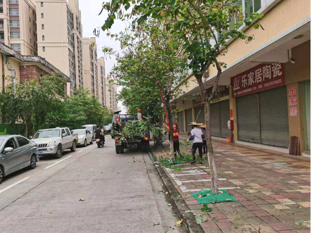 端州一路,颂德路,建设路,市委大院,宋城路等地出现树木倒伏,倾斜