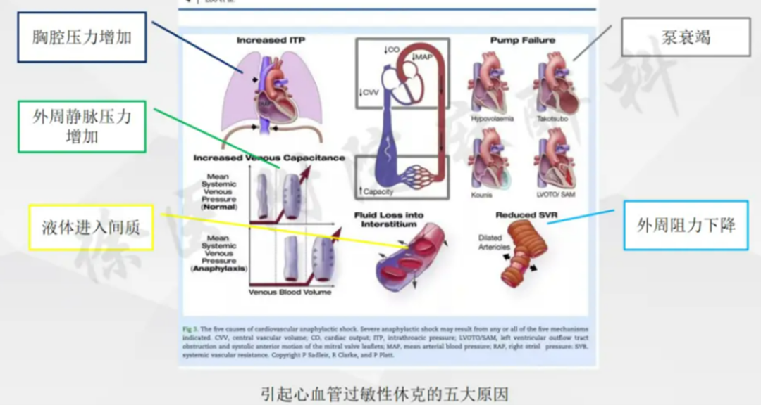 图片18.png