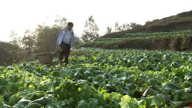 致富经养兔致富视频_致富经养殖养兔_致富经养兔