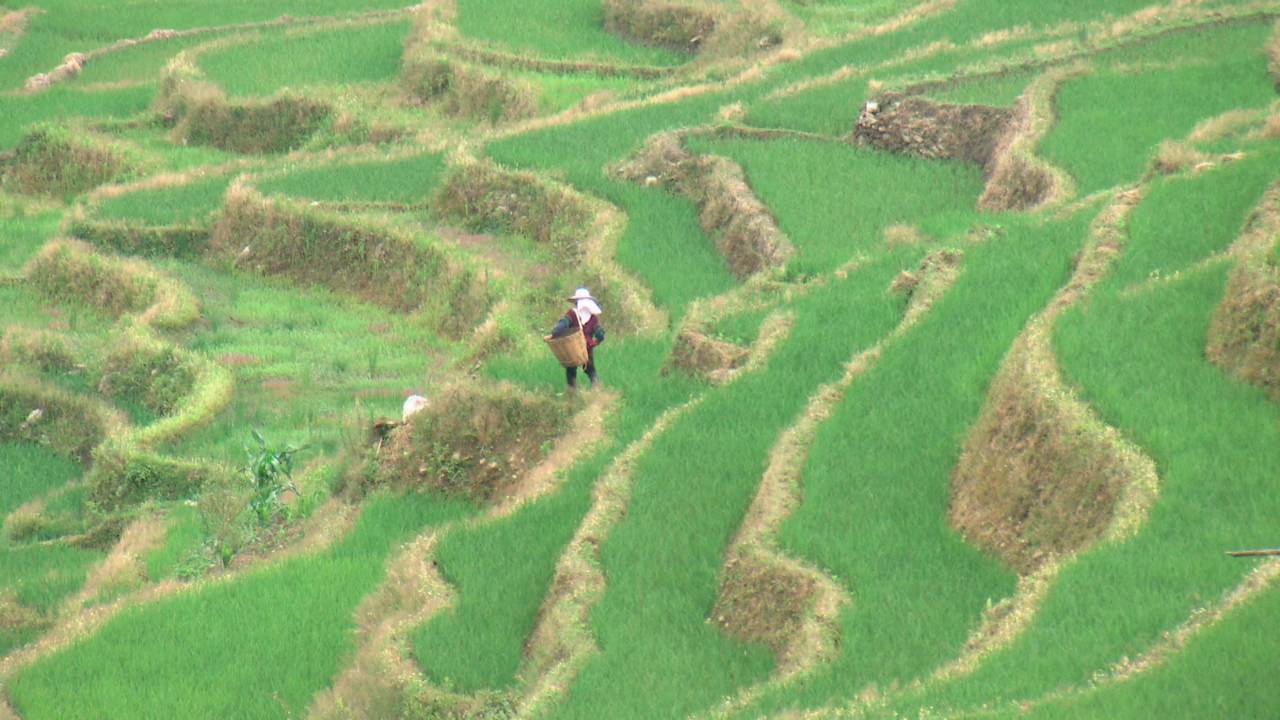 致富经泥鳅养殖_养殖泥鳅挣钱吗_致富养殖泥鳅图片