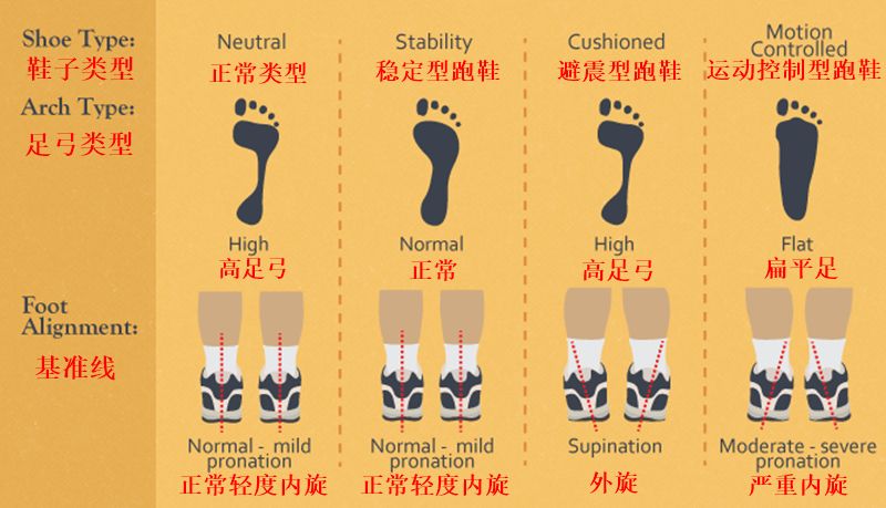 高足弓通常用脚的外缘着地,这种脚型应该选择灵活性好的鞋子,它的减震