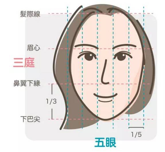 把脸的长度分为三个部分,分别是①从前额发际线至眉心②从眉骨至鼻头