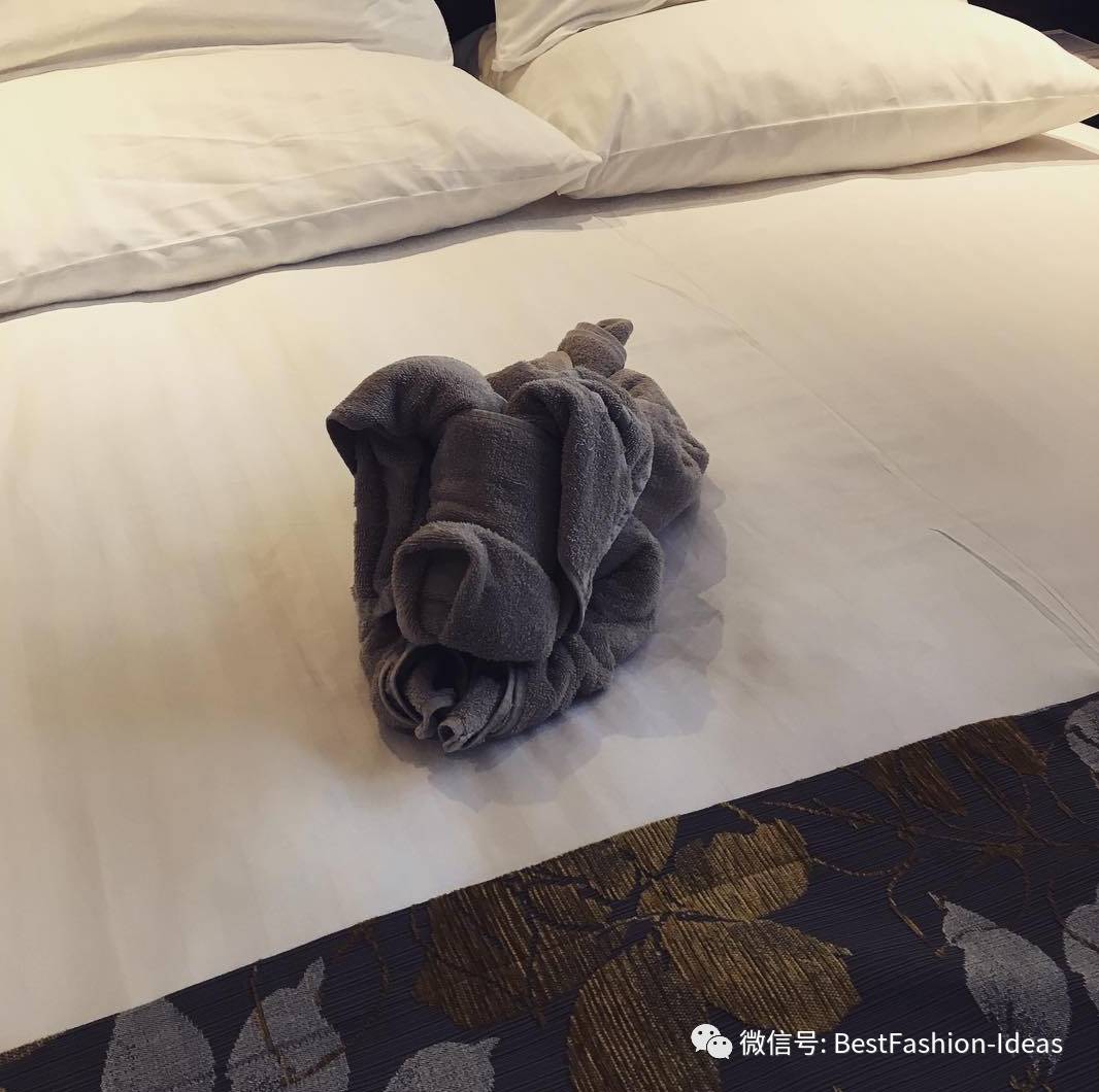 利用毛巾折叠动物,那估计是成本最低的一种夜床做法了.