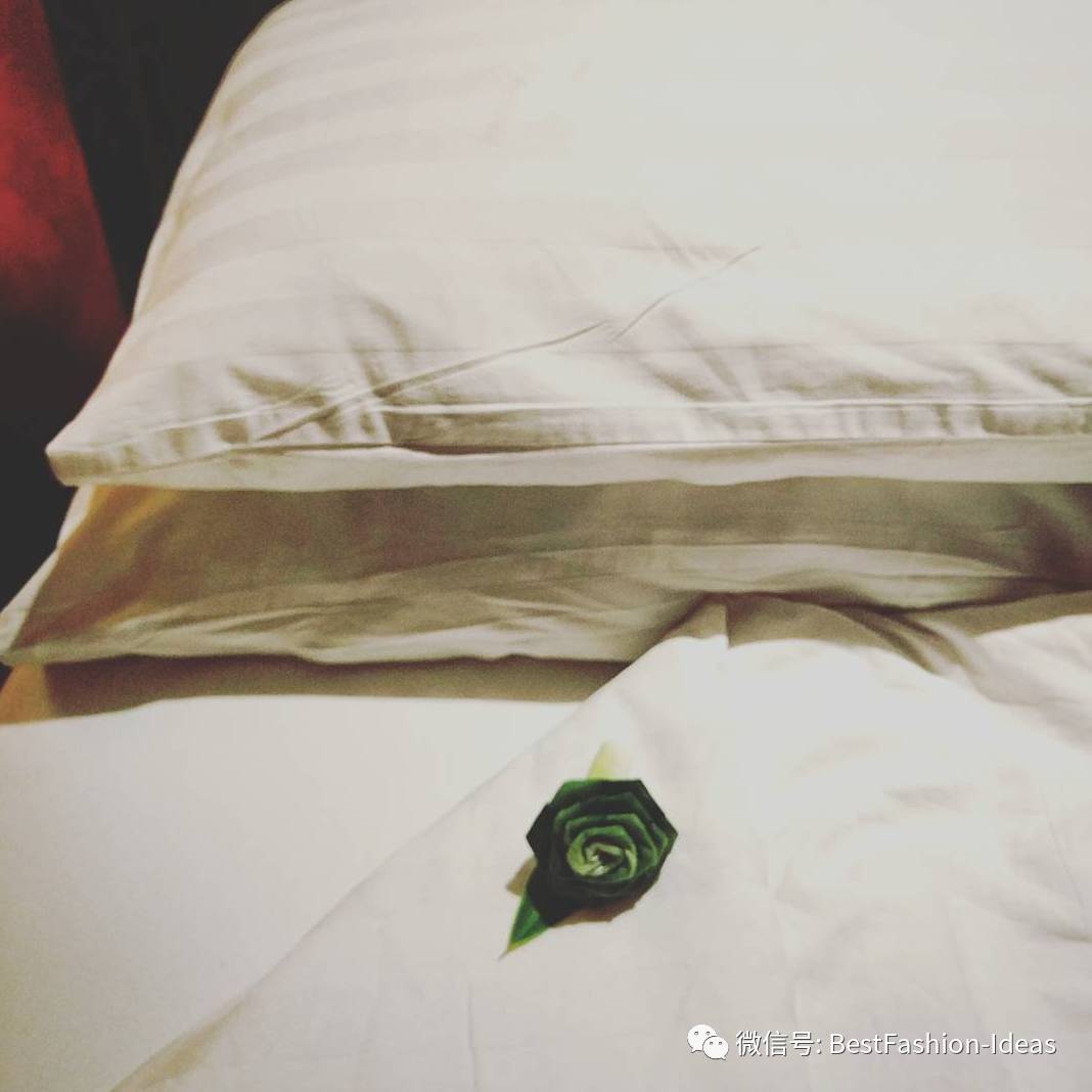 利用毛巾折叠动物,那估计是成本最低的一种夜床做法了.
