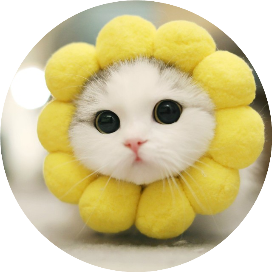 灰灰计算机考研