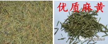 常见中药材别名（十四）