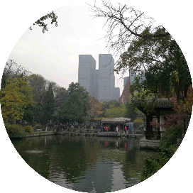 老段新语
