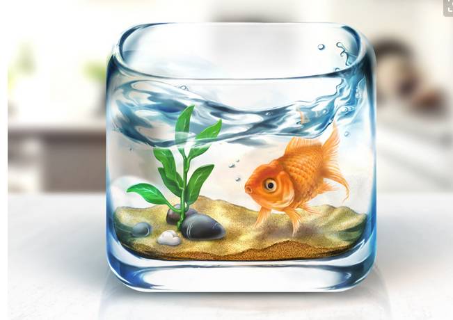 风水助孕 准备怀孕和已经怀孕的人应注意啥风水?-怀孕期