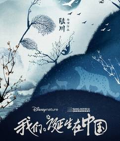 【视频】我们诞生在中国(完整版)周迅为影片献声
