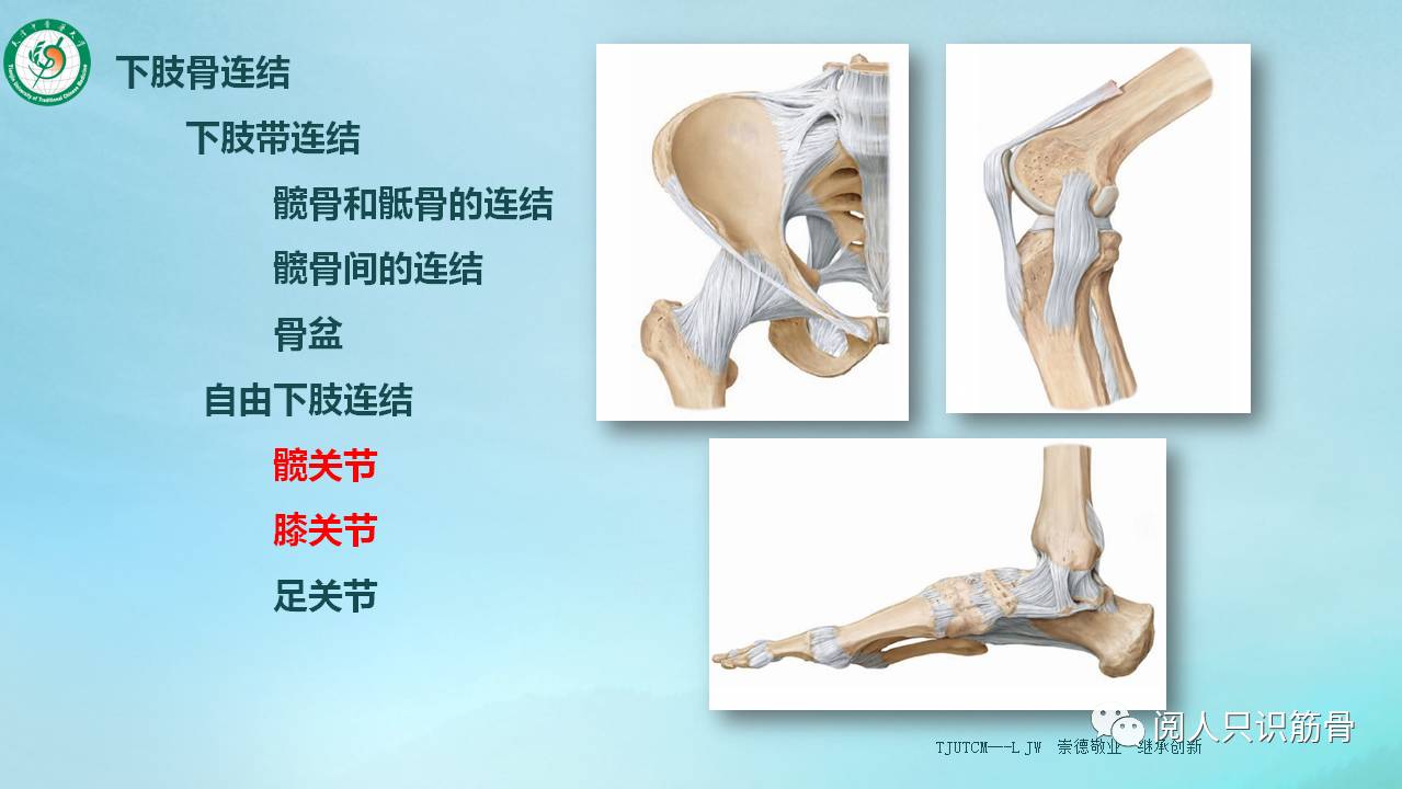 骶棘韧带,骶结节韧带和坐骨小切迹围成 坐骨小孔.
