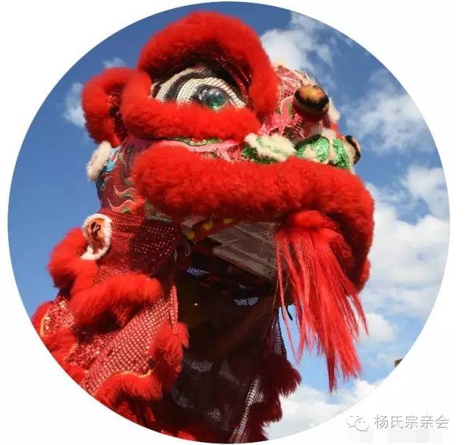 热烈祝贺杨氏醒狮队成立!威武!霸气!