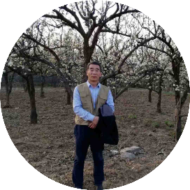 淄江晨话