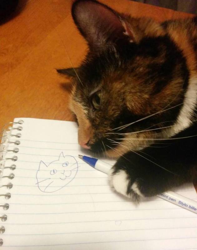 村长笑多了会怀孕—前女友打电话告诉我,她是什么颜色-怀孕期