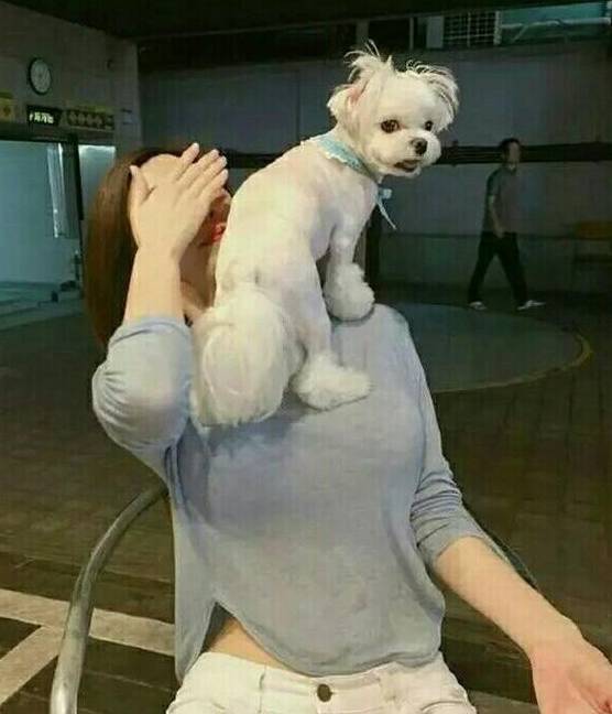 村长笑多了会怀孕—前女友打电话告诉我,她是什么颜色-怀孕期